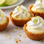 Mini No Bake Key Lime Pies topped with whipped cream and lime zest in graham cracker crust cups